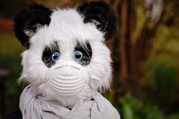 BetOriginal Kasino Tuki